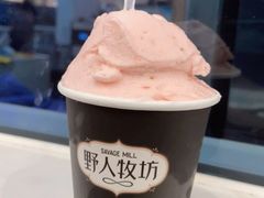 -野人先生现做冰淇淋(西安赛格店)