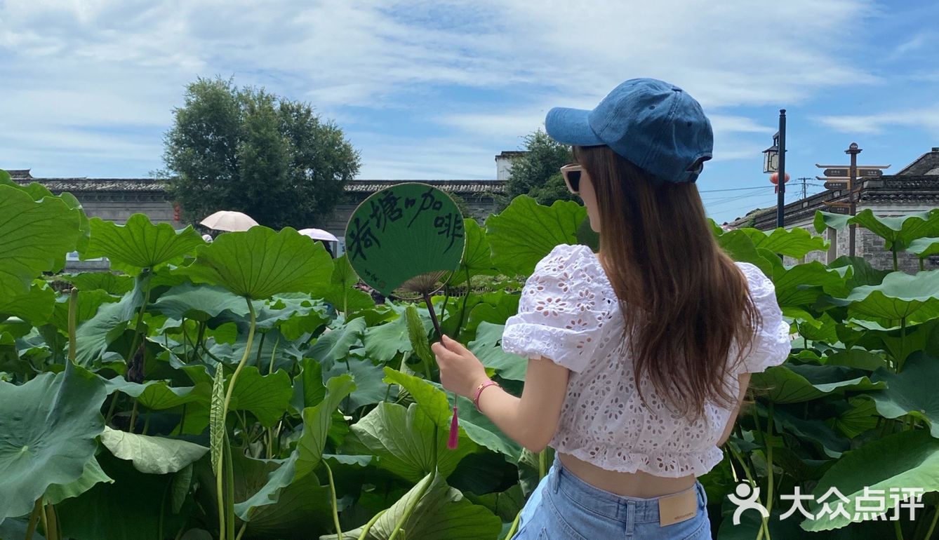 宁波｜总该为了这片荷花池来喝一杯荷塘咖啡吧