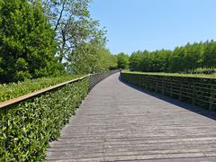 -江滩湿地公园