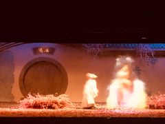 -厦门方特梦幻王国