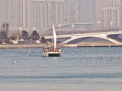 -日照世帆赛基地