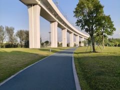 -宝安西湾红树林湿地公园