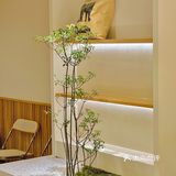 夏日里的冰凉清爽奶油咖啡店☕️EMoment
