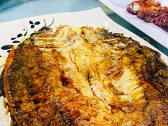 -石岐乳鸽村(南海第三分店)