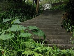 -白云山风景名胜区