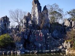 -千岛湖石林