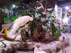 -正佳雨林生态植物园