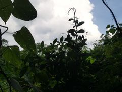 -海口火山口国家地质公园