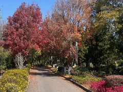 -昆明春城湖畔度假村