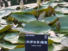 -上海植物园-4号门售票处