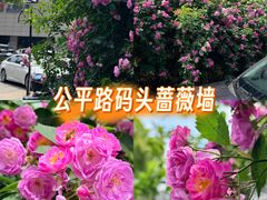 -公平路渡口(轮渡站)
