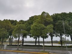 -美兰湖景区