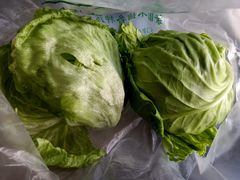 -万源龙顺度假庄园生态观光园