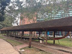 -越南民族学博物馆