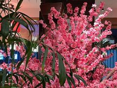 -兰溪小馆(东直门簋街店)