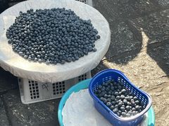-大理洱海