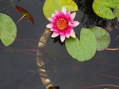 -铁道游击队纪念园