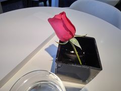 -BLACKSWAN黑天鹅(环球店)