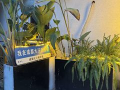 -大汗烧烤滩羊馆(清水河公园店)