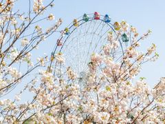 -观澜湖生态运动公社