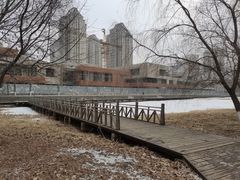 -长白岛森林公园