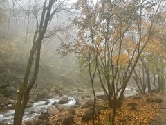 -玉渡山自然风景区