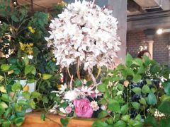 -LYFATTI 莱芙缇(赣水路店)