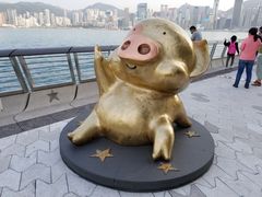 -星光大道