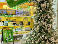 -鲜芒多·杨枝甘露(摩尔城A座10楼店)