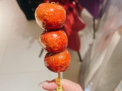 糖葫芦-麻六记(新天地店)