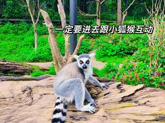 -云南野生动物园
