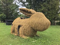 -嘉北郊野公园