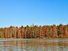 -上海海湾国家森林公园