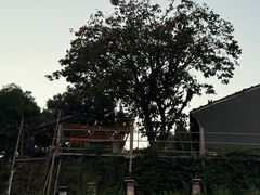 -溪口-滕头旅游景区