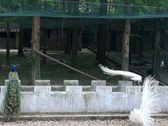 -南京金牛湖风景区