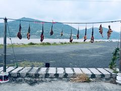 -北岐滩涂