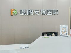 -瑞鹏宠物医院·骨外科·心肾科·肿瘤科(九亭店)