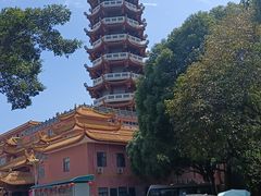-仙岳公园