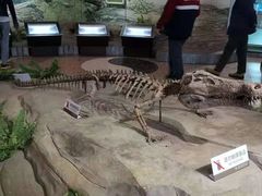 -自贡恐龙博物馆