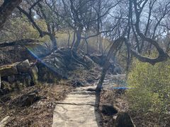 -洛阳白云山景区