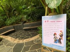 -腾冲洞山温泉村