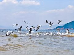 -丽江泸沽湖景区