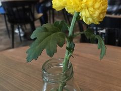 -gaga(深圳南山益田假日广场店)