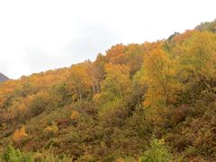 -灵山