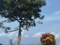 -花柏山公园