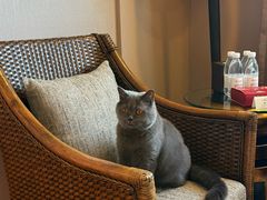 -惠州康帝国际酒店