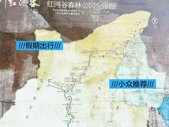 -陕西省红河谷森林公园