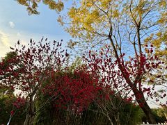 -眉山湿地公园(东坡区)
