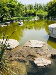 -大望京儿童游乐场