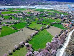 -米堆冰川